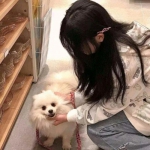 半熟英雄果盘版下载